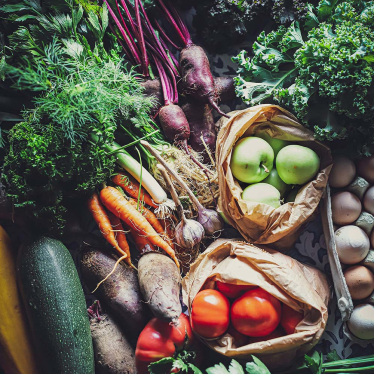 kochen-jahreszeiten-1